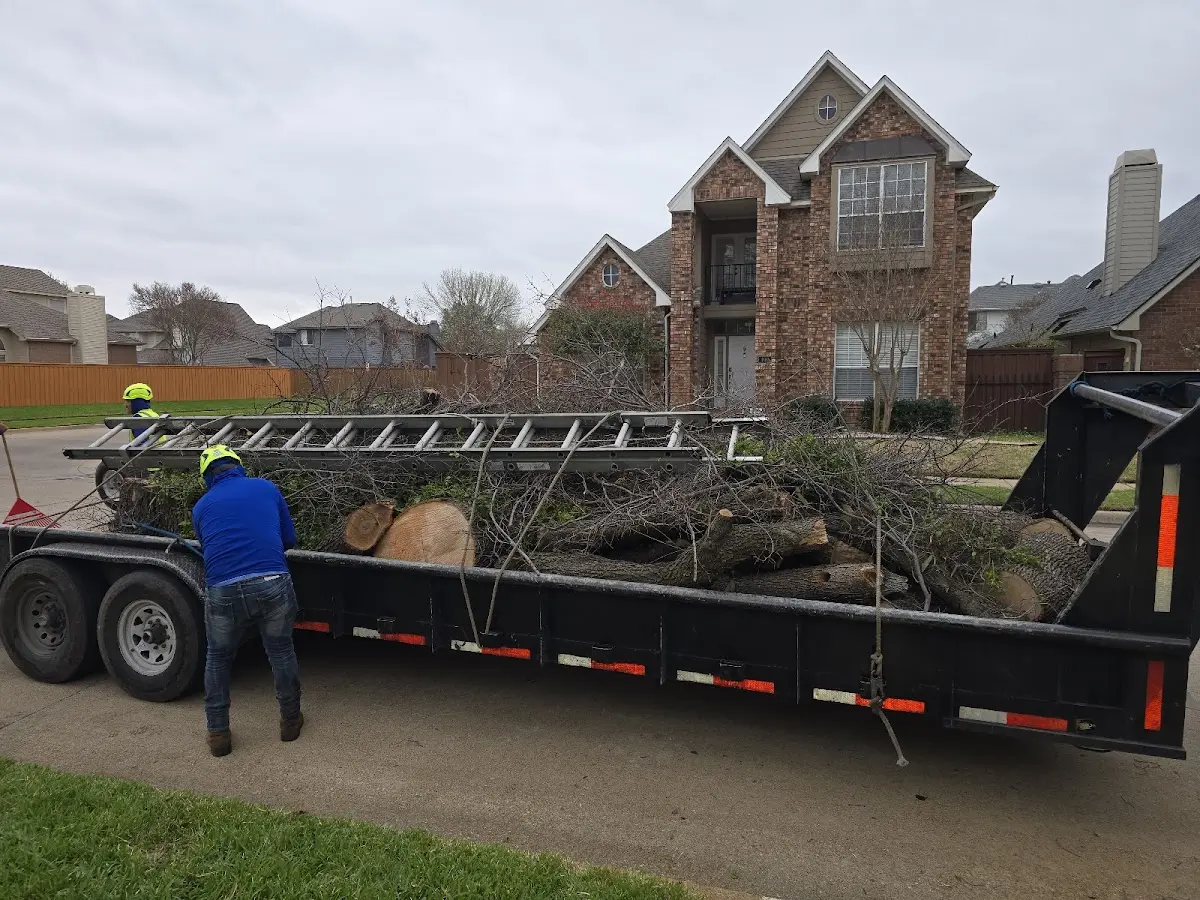 Expert Tree Removal with proper safety equipment in Rockwood